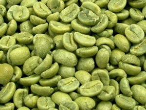 Yeşil kahve zayıflatıyor mu?