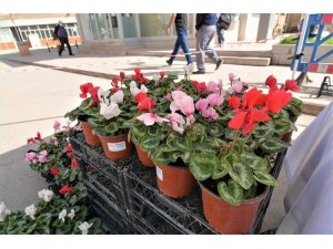 Sandıklı Belediyesinin mevsimlik çiçeklerine büyük ilgi