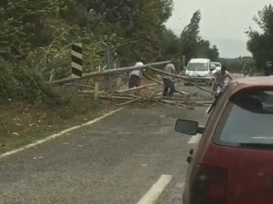 Bursa’da rüzgar ağaçları devirdi, yol trafiğe kapandı