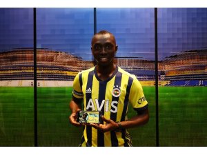 Papiss Cisse, Fenerbahçe’de