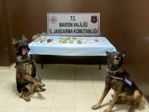 Mardin’de uyuşturucu operasyonu: 4 gözaltı