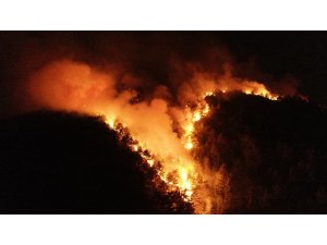 Havalar orman yangınları için kritik süreçte