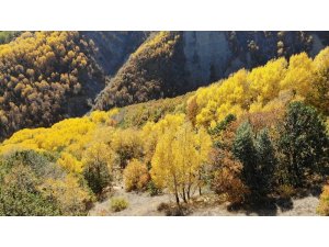 Erzincan’da sonbaharda renk cümbüşü