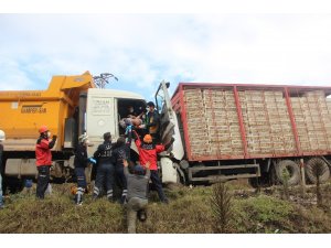 Bolu’da 2 kamyon kafa kafaya çarpıştı: 2 yaralı