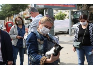Gaziemir’de sokak hayvanları yeni yuvalarına kavuştu