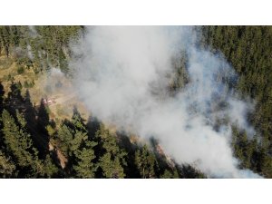 Kastamonu ormanları 4 gündür yanıyor