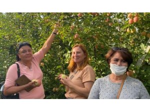 Rus turistler Eğirdir’de elma hasadı turuna katıldı