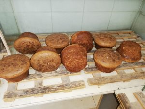 Elbistan’da şeker hastalarına siyez buğdaylı özel ekmek