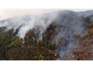 Mersin’deki yangın drone ile havadan görüntülendi