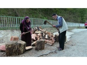 Yaşlı çift kışlık odun ihtiyaçlarını kendileri karşılıyor