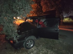 Otomobil zeytin ağacına çarptı: 1 ağır yaralı