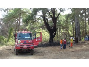 Manavgat’a 3 günde 6 orman yangını