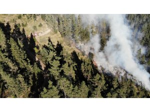 Kastamonu’da 5 günde söndürülen orman yangınları tekrar başladı