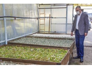 Karacabey’de tıbbi ve aromatik bitki üretimleriyle kırsal kesime katkı sağlanacak