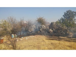 Besni’de bahçe yangını ağaçlara zarar verdi