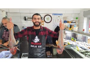 5’er kiloluk kırlangıç balıkları 500 liradan satılıyor