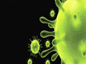 Bağışıklığı olmayan ölümcül virüs: 50 ölü