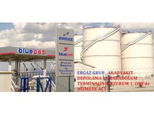 Türkiye Ekonomisine Ergaz  enerjisi