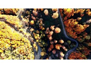 Türkiye’nin en büyük blok ormanlarını barındıran Yenice’de sonbahar güzelliği