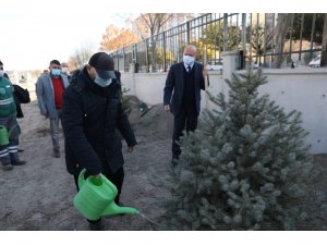 Başkan Çolakbayrakdar, öğretmenlerle birlikte ağaç dikti