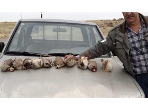 Kınalı keklikleri avlayan 5 şahıs yakalandı