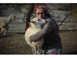 Dağlarda kadın başına 150 koyununa çobanlık yapıyor