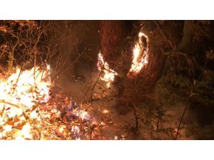 Kastamonu’da çıkan orman yangını kontrol altına alındı