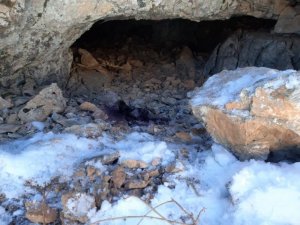 Bitlis’te 250 kilo amonyum nitrat ile yaşam malzemesi ele geçirildi
