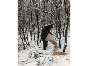 Karlı günlerde yaban hayvanları için doğaya 200 kilogram yem bırakıldı