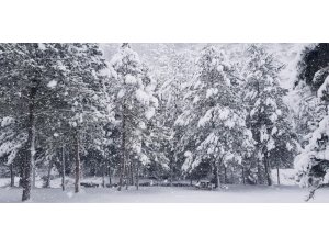 ‘Sakin şehir’ Taraklı’da kar kalınlığı 45 santimi buldu