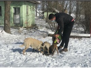 Dumlupınar Belediyesi sokak hayvanlarını unutmadı