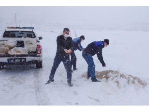 Karacabey’de karla mücadele