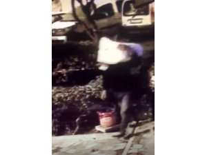 İstanbul’da pes dedirten hırsızlık: Kardan adamı çaldılar