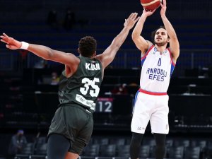 Basketbol Süper Ligi: Anadolu Efes: 91 - Bursaspor: 58