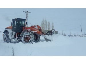 Başkale Belediyesi kamyonlarla kar taşıyor