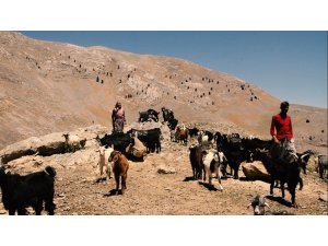 Bolkar Dağlarının konargöçer Yörüklerinin yaşamı belgesel oldu
