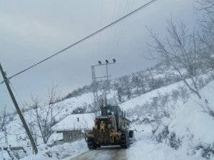Cide’de karla mücadele çalışmaları aralıksız sürüyor