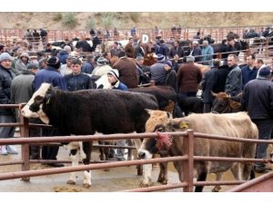 Nevşehir Hayvan Pazarı geçici olarak kapatıldı