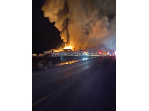Washington eyaletinde fabrikada korkutan yangın