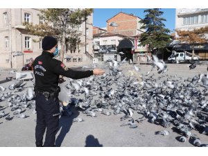 Polisin yemlediği güvercinler görsel şölen oluşturdu