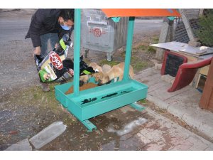 Ergani Belediyesi sokak hayvanlarını unutmadı