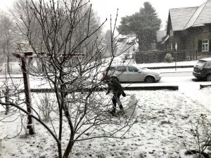 Almanya’da kar hayatı felç etti