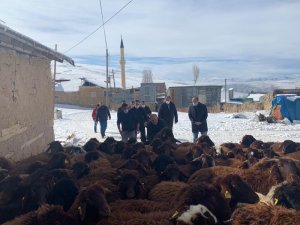 Bayburt’ta "Köyümde Yaşamak İçin Bir Sürü Nedenim Var Projesi" kapsamında çiftçilere koyunları teslim edildi