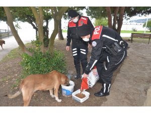 Sinop polisinden can dostlara yiyecek yardımı