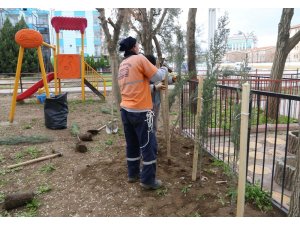Turgutlu Belediyesinden Mimar Sinan Parkında ağaçlandırma çalışması