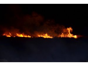 Samsun’da sazlık yangını