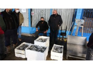 Balıkçılar gelecek yıl Karadeniz’de hamsi bolluğu bekliyor