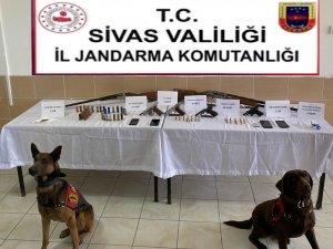 Sivas’ta uyuşturucu ve kaçakçılık operasyonu