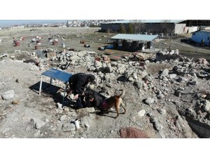Hassas burunlar depremde can kurtarıyor