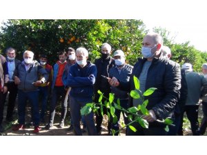 Kozan’da meyve ağaçlarını budama kursu